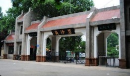 郑州碧沙岗最新爆料信息,揭秘历史遗迹背后的神秘故事