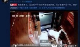 网红爆料家暴视频大全最新,触目惊心的家庭暴力真相