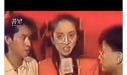 娱乐圈最新爆料逃税小说,揭秘逃税风波背后的秘密