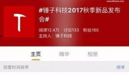 老罗最新爆料锤子,老罗最新爆料揭示神秘功能与设计革新”
