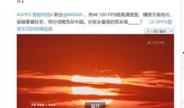 电白论坛星期三最新爆料,最新事件揭秘，星期三热点追踪