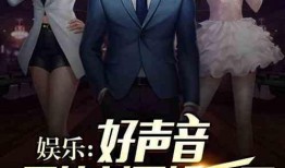 娱乐圈最新爆料逃税小说,揭秘逃税风波背后的秘密